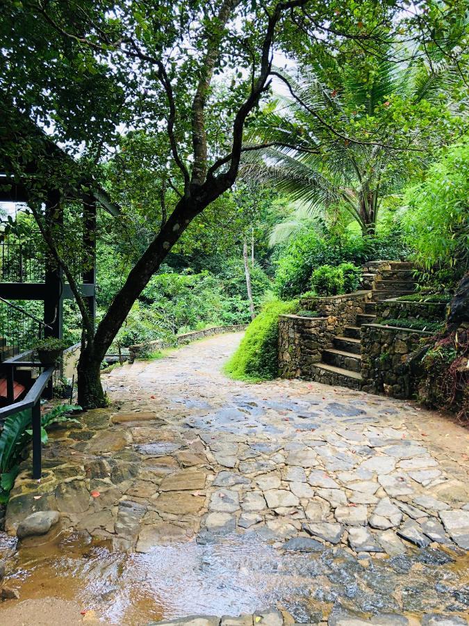 Forest Shade Eco Resort Deraniyagala Exterior foto