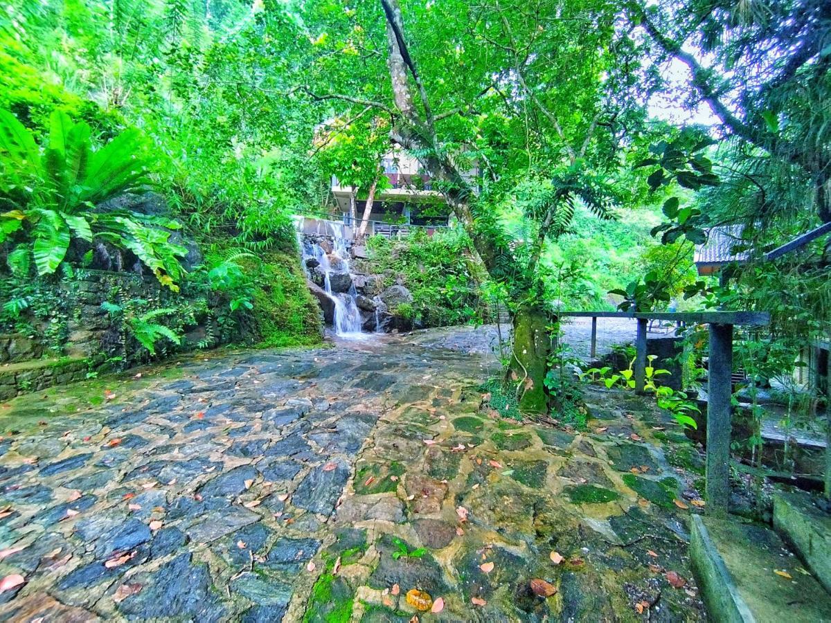 Forest Shade Eco Resort Deraniyagala Exterior foto